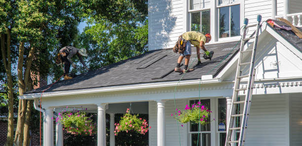 Best Roof Ventilation Installation  in Bellevue, IA